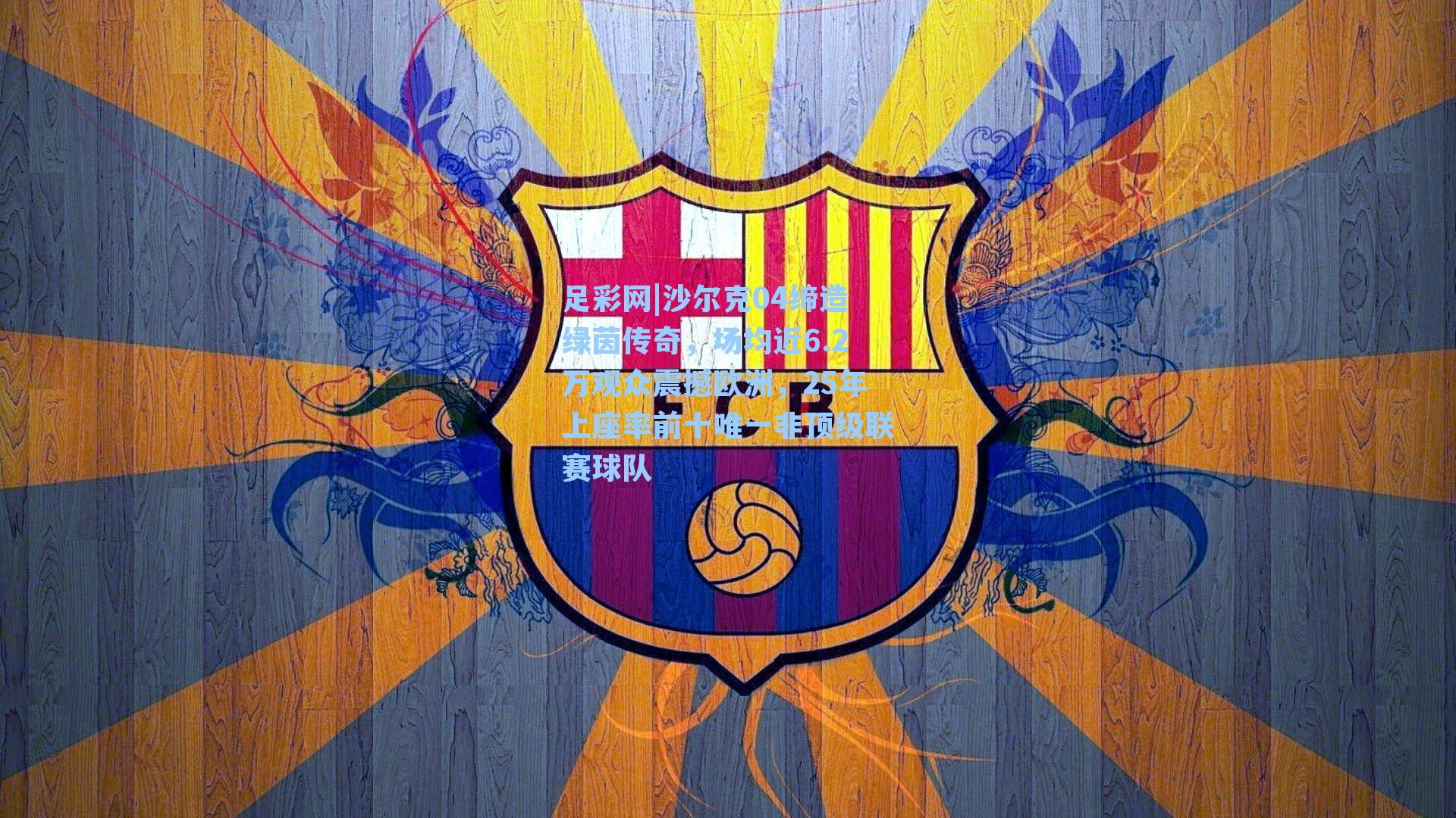 沙尔克04缔造绿茵传奇，场均近6.2万观众震撼欧洲，25年上座率前十唯一非顶级联赛球队