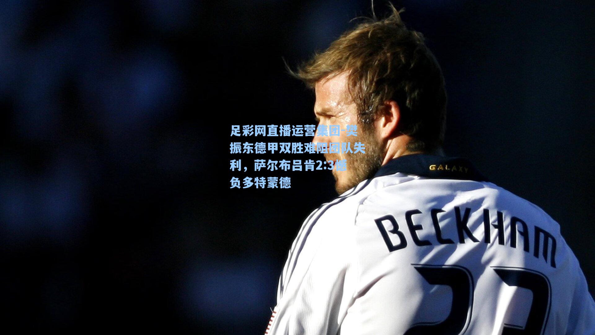 樊振东德甲双胜难阻团队失利,萨尔布吕肯2:3憾负多特蒙德