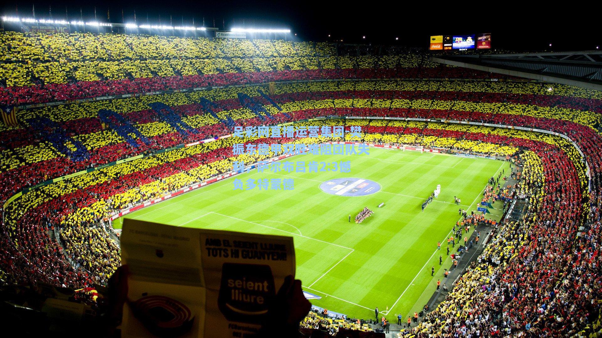 樊振东德甲双胜难阻团队失利,萨尔布吕肯2:3憾负多特蒙德