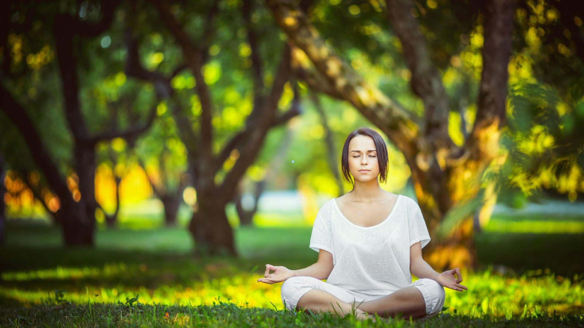 足彩网体育公司：本-福斯特盛赞库尼亚替补终结力，解析卡里克战术智慧点亮绿茵场